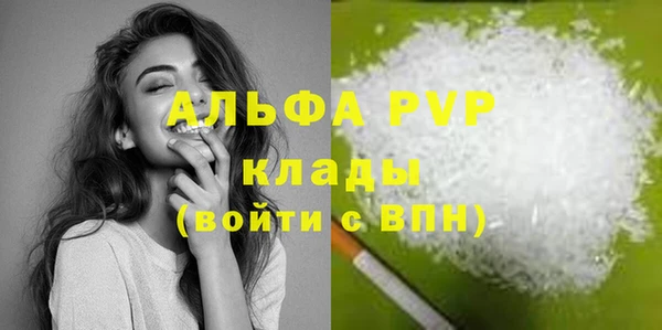 сатива Беломорск