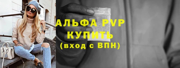 крисы Баксан