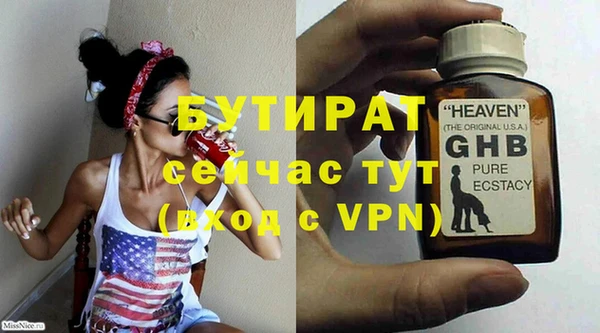 сатива Беломорск