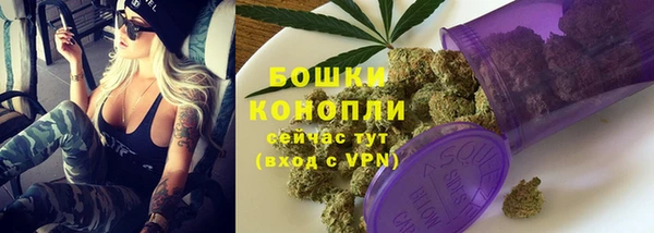 крисы Баксан