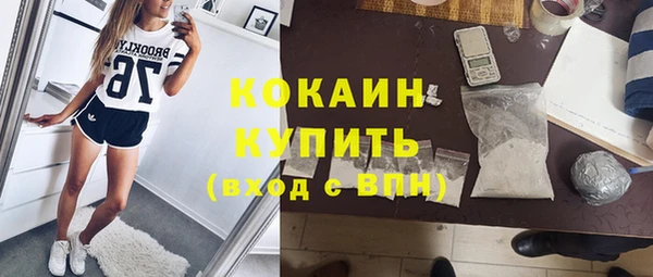 крисы Баксан