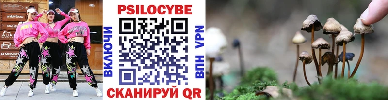 Галлюциногенные грибы мухоморы  hydra зеркало  Катав-Ивановск 
